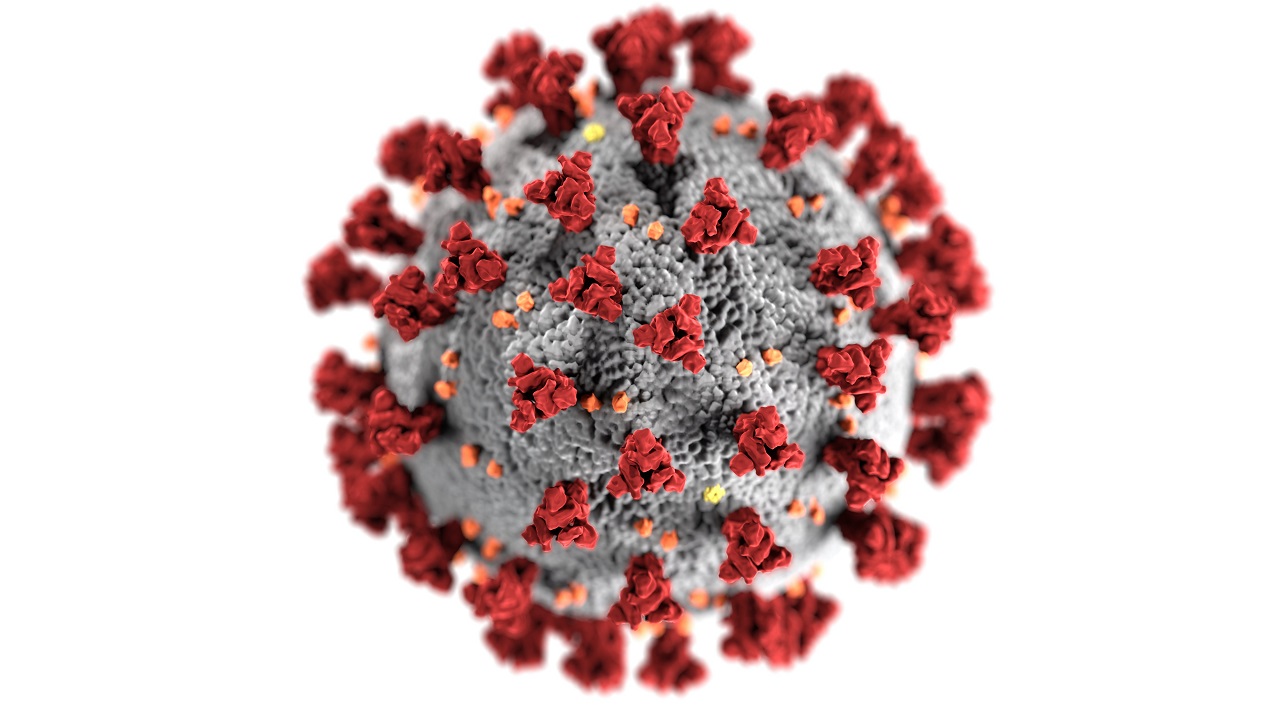 Read more about the article 【情報提供】新型コロナウイルス感染防止の取組について